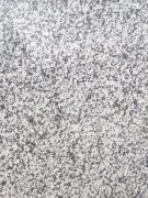 山東珍珠白 山東珍珠白